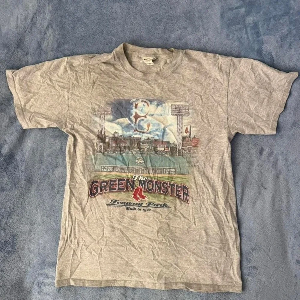 Lee Sport vintage‎ grey Fenway Park graphic tee men Size M